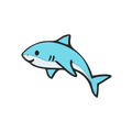 Budz | Shark